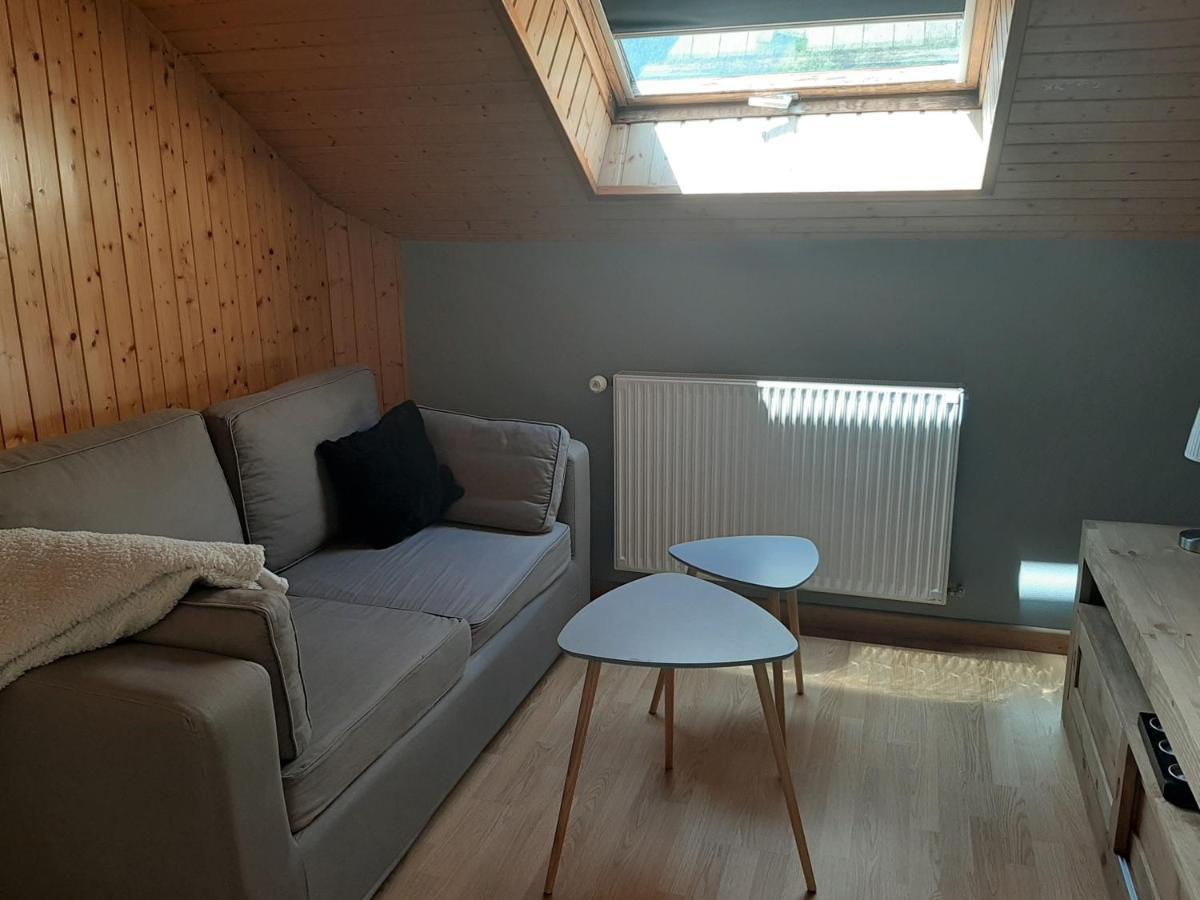 Charmant Appartement 2-4 Personnes Entre Annecy Et Aravis Thônes エクステリア 写真