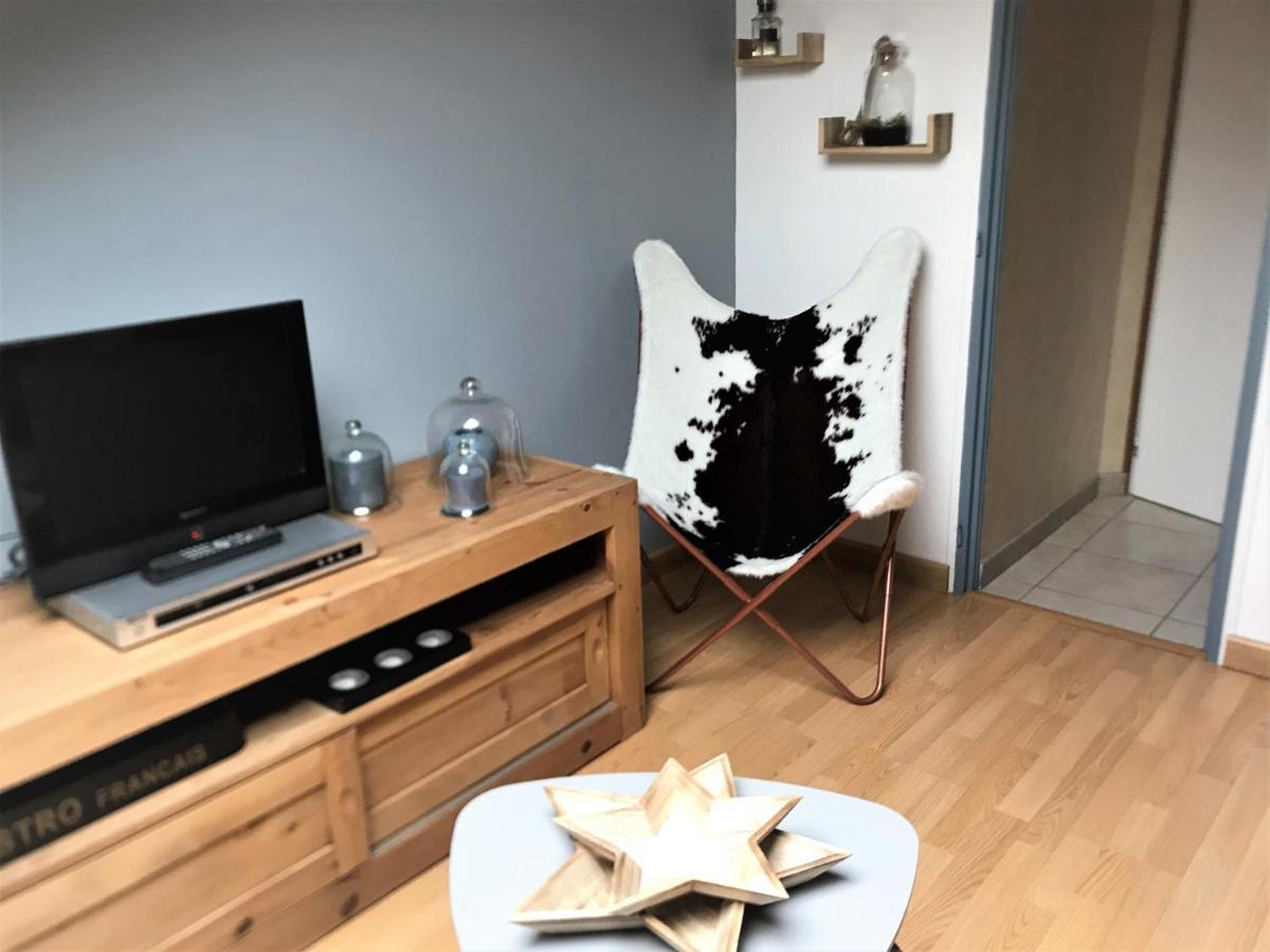 Charmant Appartement 2-4 Personnes Entre Annecy Et Aravis Thônes エクステリア 写真