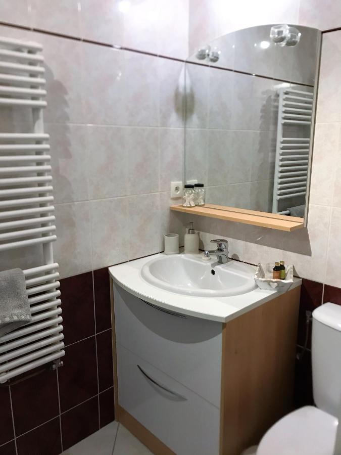 Charmant Appartement 2-4 Personnes Entre Annecy Et Aravis Thônes エクステリア 写真