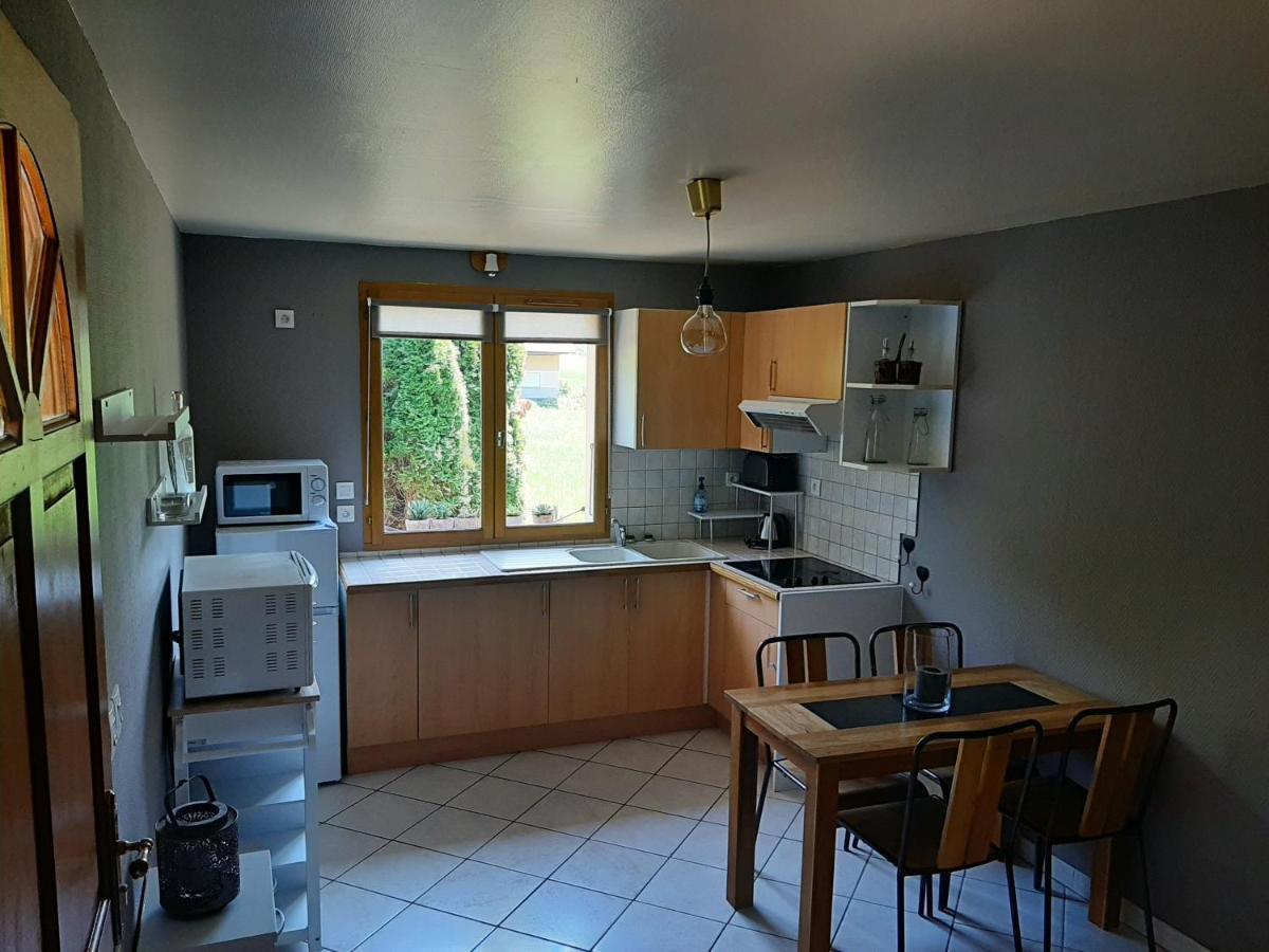 Charmant Appartement 2-4 Personnes Entre Annecy Et Aravis Thônes エクステリア 写真
