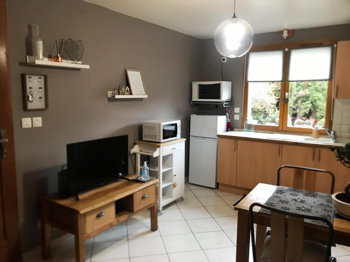Charmant Appartement 2-4 Personnes Entre Annecy Et Aravis Thônes エクステリア 写真