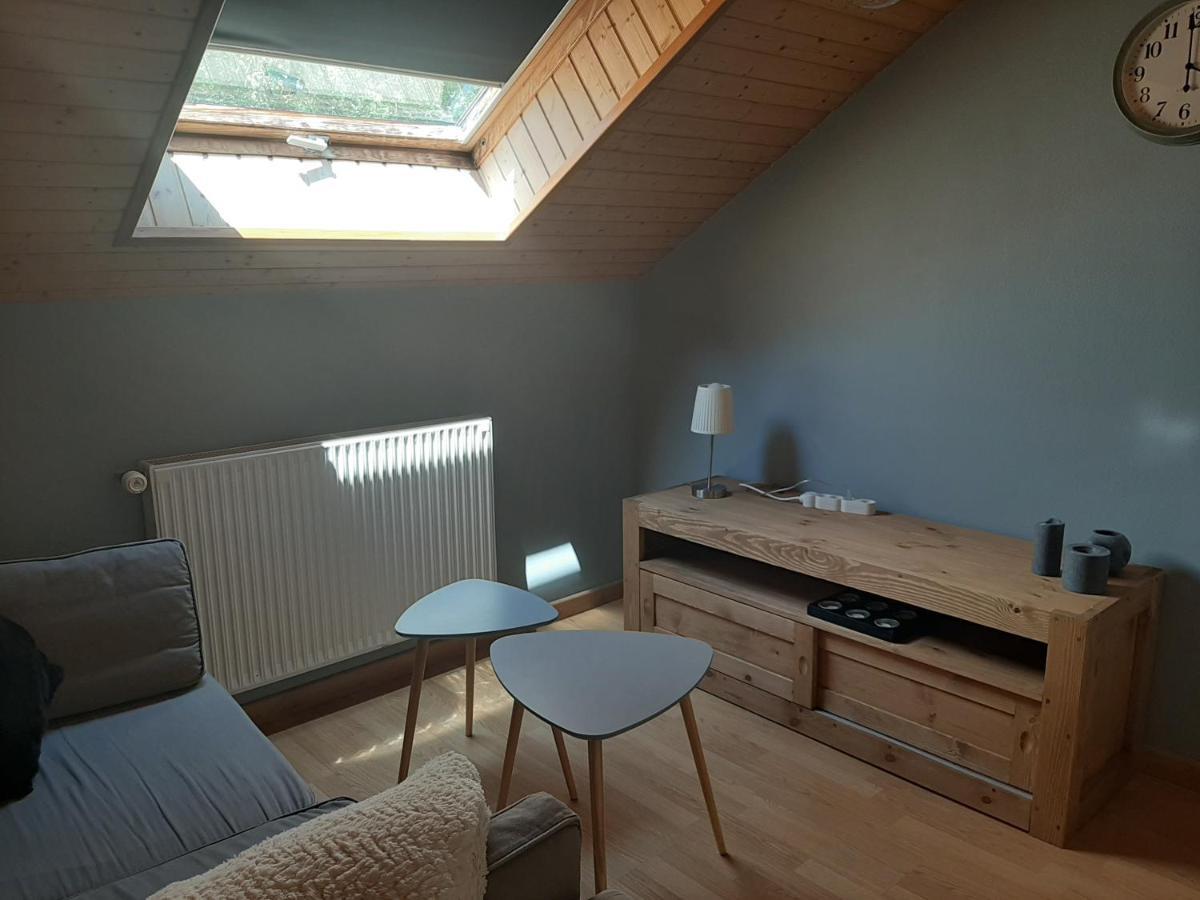 Charmant Appartement 2-4 Personnes Entre Annecy Et Aravis Thônes エクステリア 写真